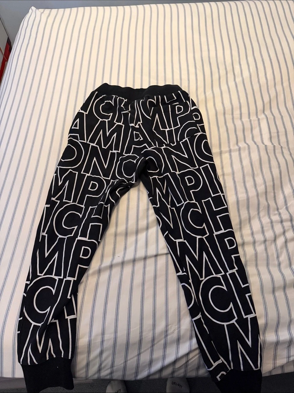 Champion Sweatpants